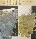 《清风入塘》李彤彤